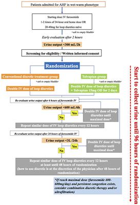 Tolvaptan Add-on Therapy to Overcome Loop Diuretic Resistance in Acute Heart Failure With Renal Dysfunction (DR-AHF): Design and Rationale